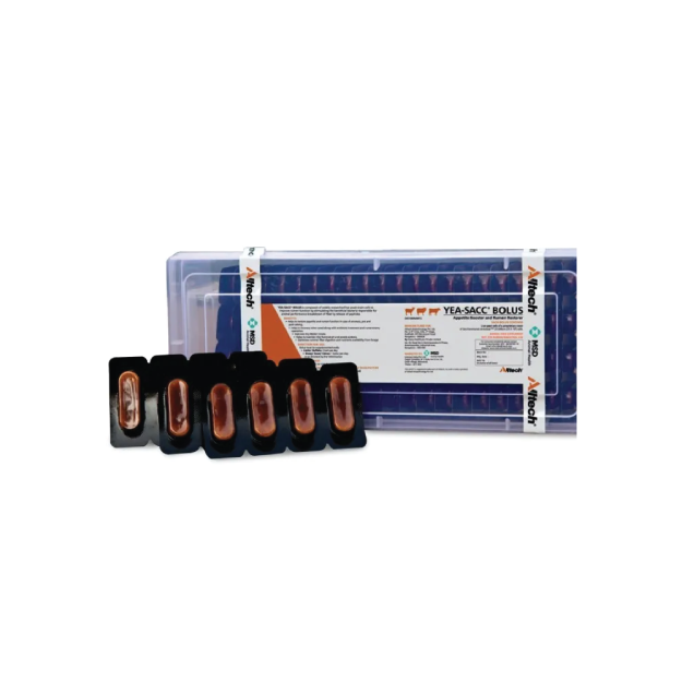 Yea-Sacc Bolus