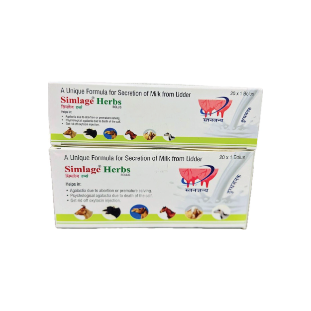 Simlage Bolus